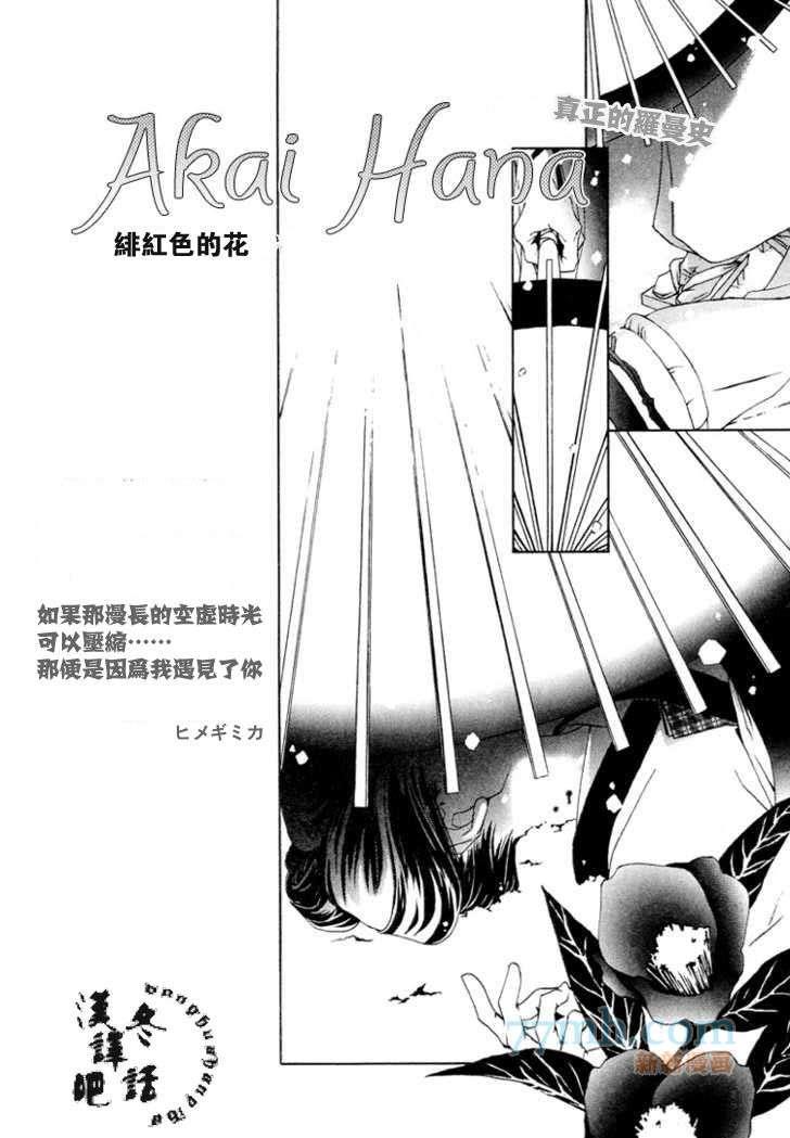 绯红色的花[耽美]韩漫全集-第1话无删减无遮挡章节图片 