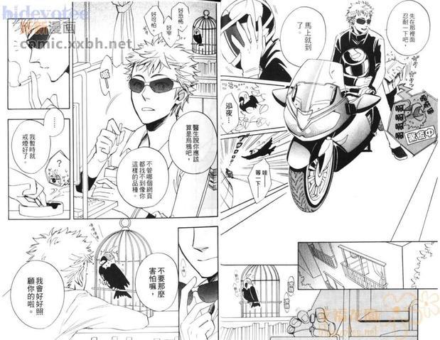 小小鸟之恋[耽美]韩漫全集-第1卷无删减无遮挡章节图片 