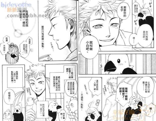 小小鸟之恋[耽美]韩漫全集-第1卷无删减无遮挡章节图片 