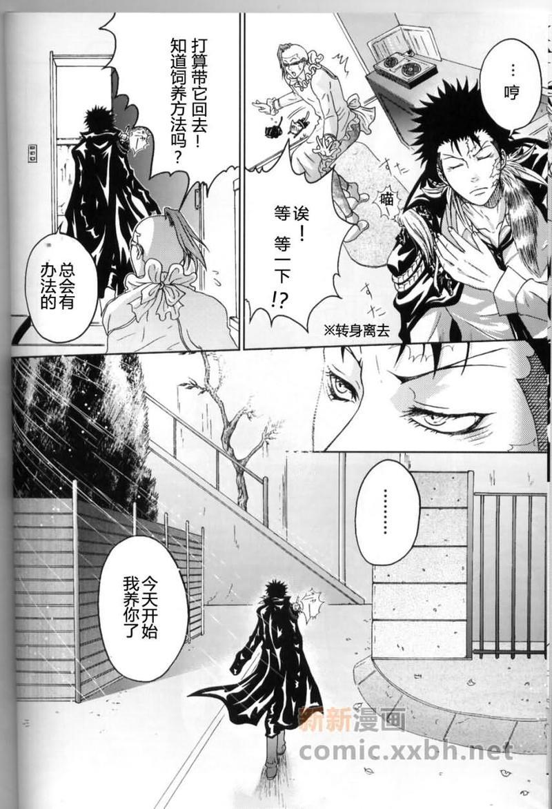 家庭教师[XS][耽美]韩漫全集-爱猫无删减无遮挡章节图片 