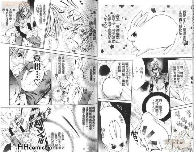亲亲小兔兔[耽美]韩漫全集-第1卷无删减无遮挡章节图片 