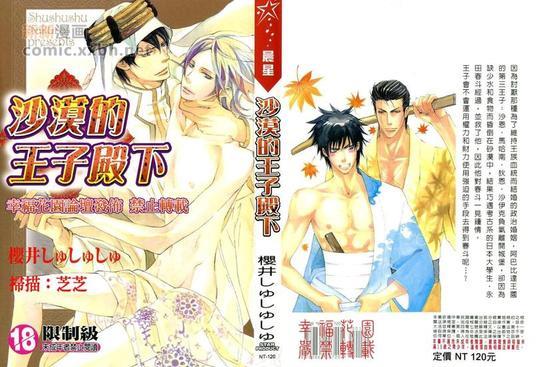 沙漠的王子殿下[耽美]韩漫全集-第1卷无删减无遮挡章节图片 