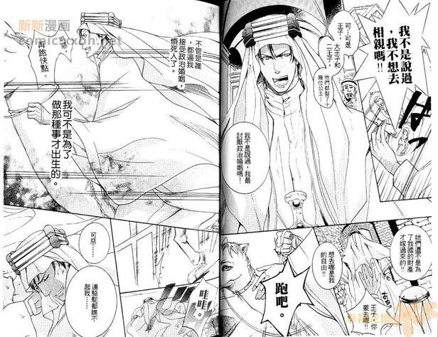 沙漠的王子殿下[耽美]韩漫全集-第1卷无删减无遮挡章节图片 