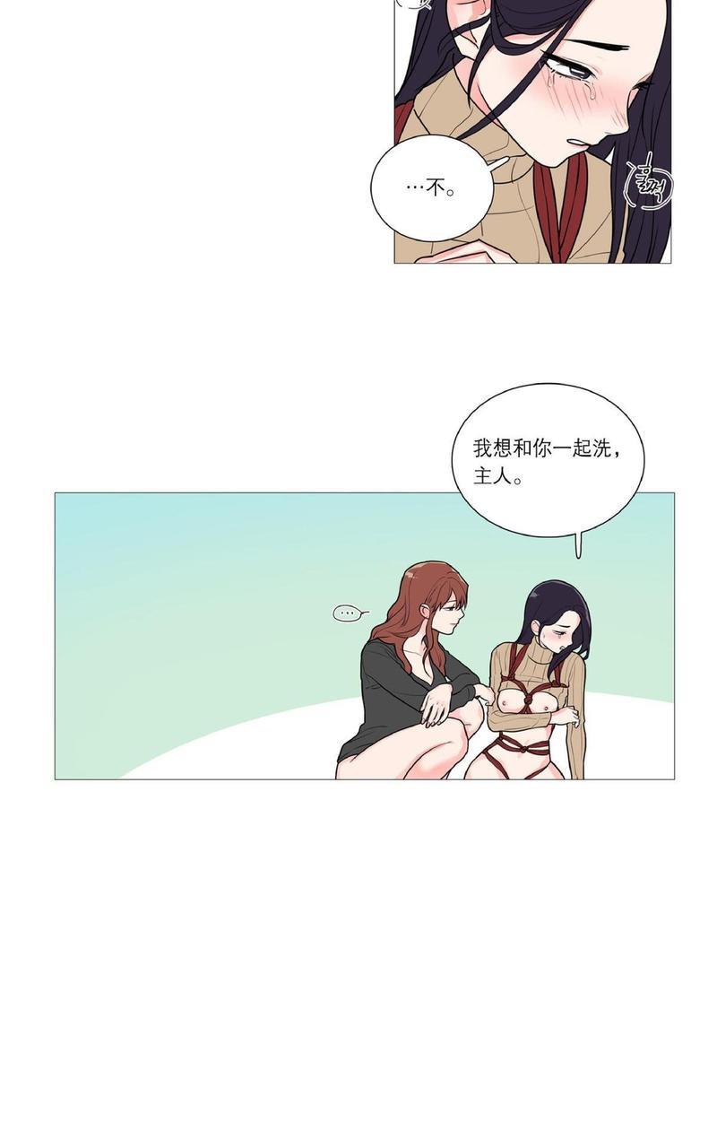 虐美人[耽美]韩漫全集-第29话无删减无遮挡章节图片 
