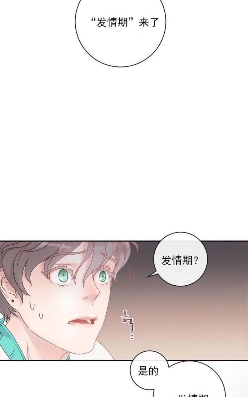 勾引alpha的方法[耽美]韩漫全集-第1话无删减无遮挡章节图片 