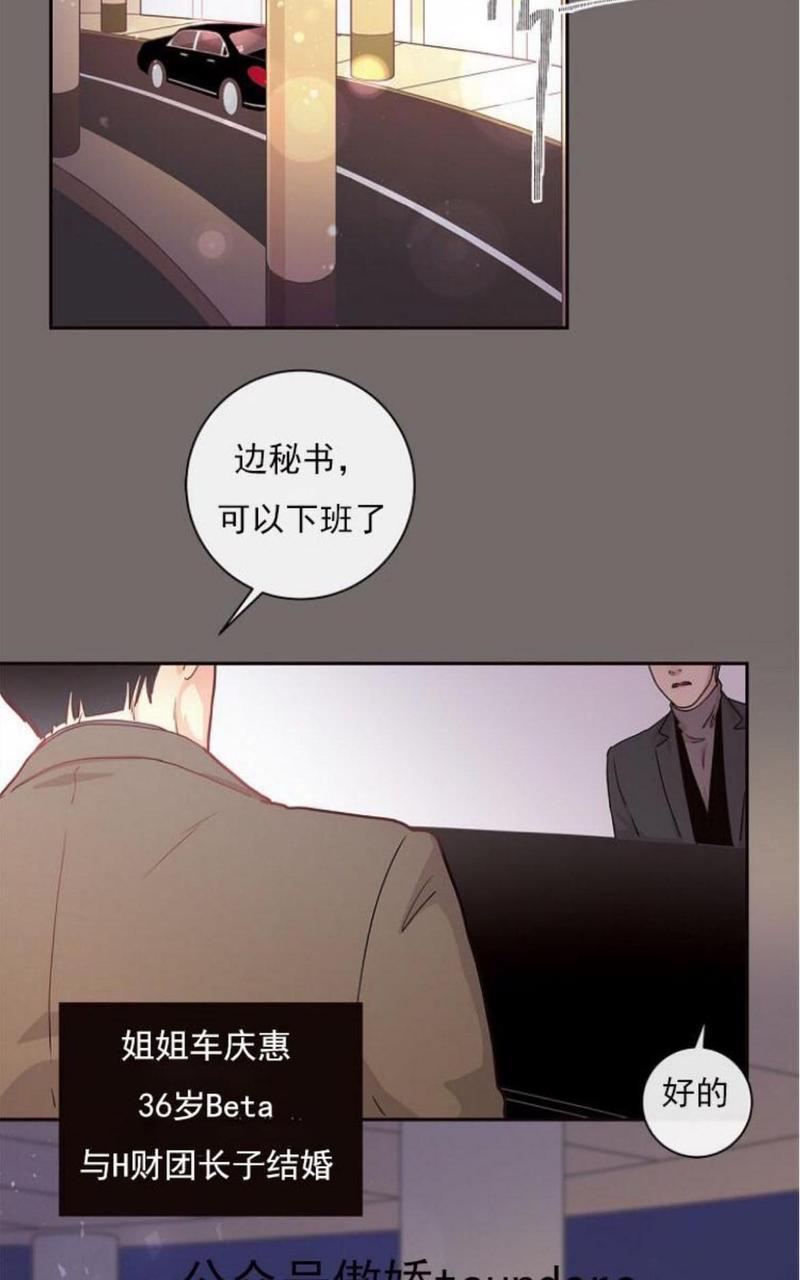 勾引alpha的方法[耽美]韩漫全集-第5话无删减无遮挡章节图片 