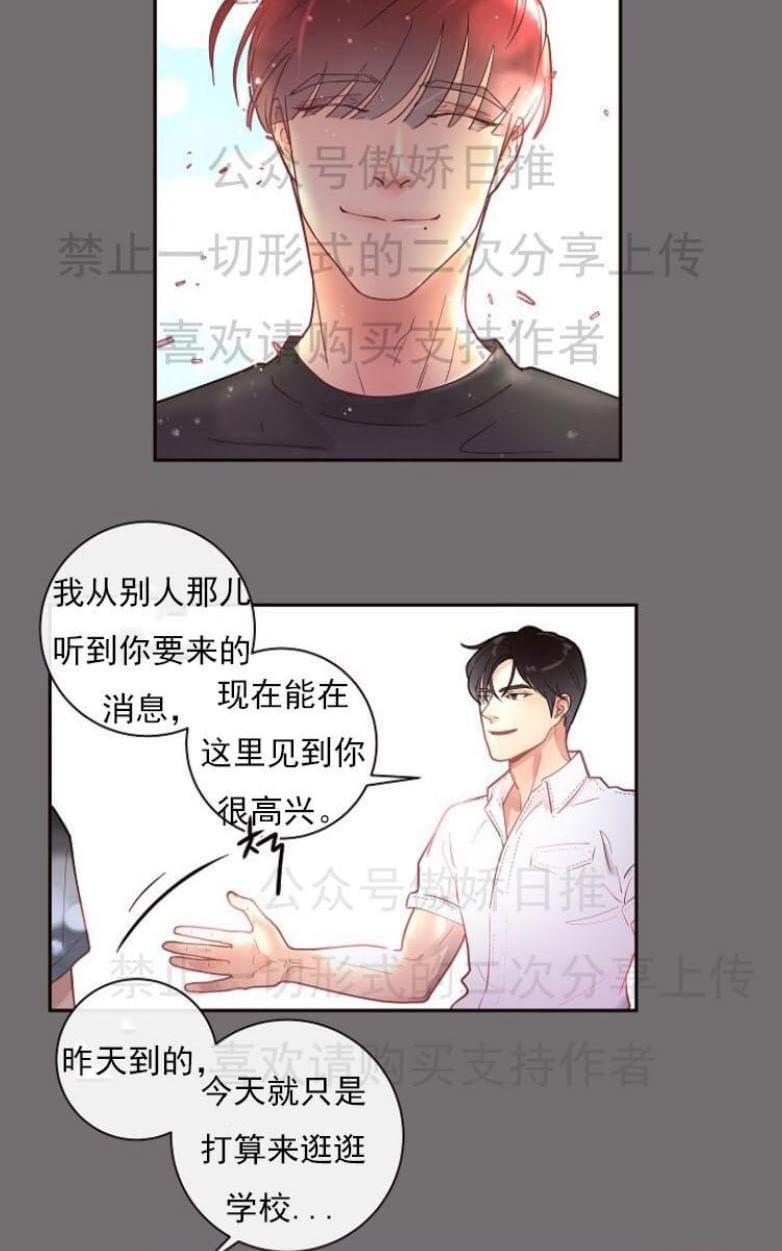 勾引alpha的方法[耽美]韩漫全集-第19话无删减无遮挡章节图片 