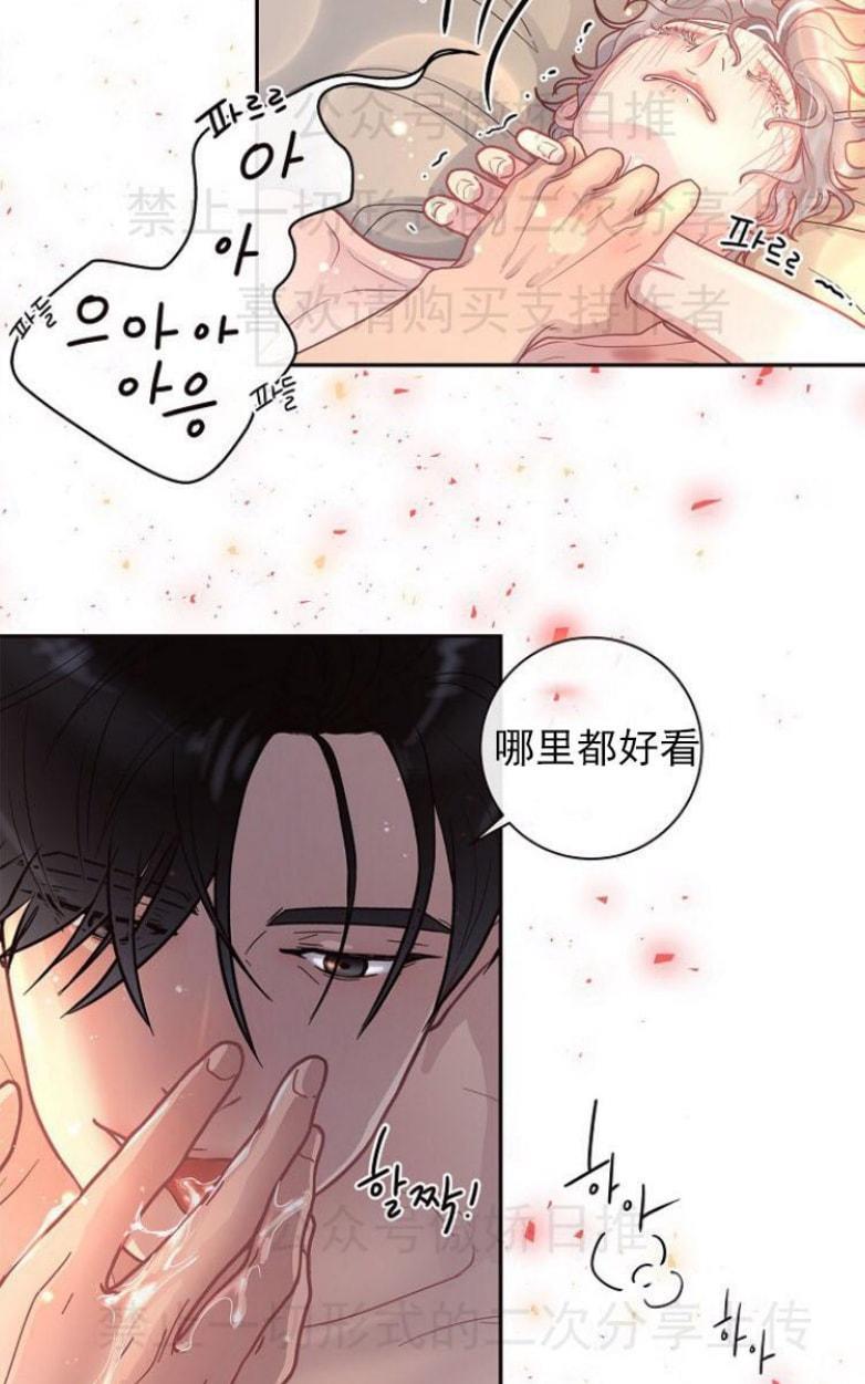 勾引alpha的方法[耽美]韩漫全集-第24话无删减无遮挡章节图片 