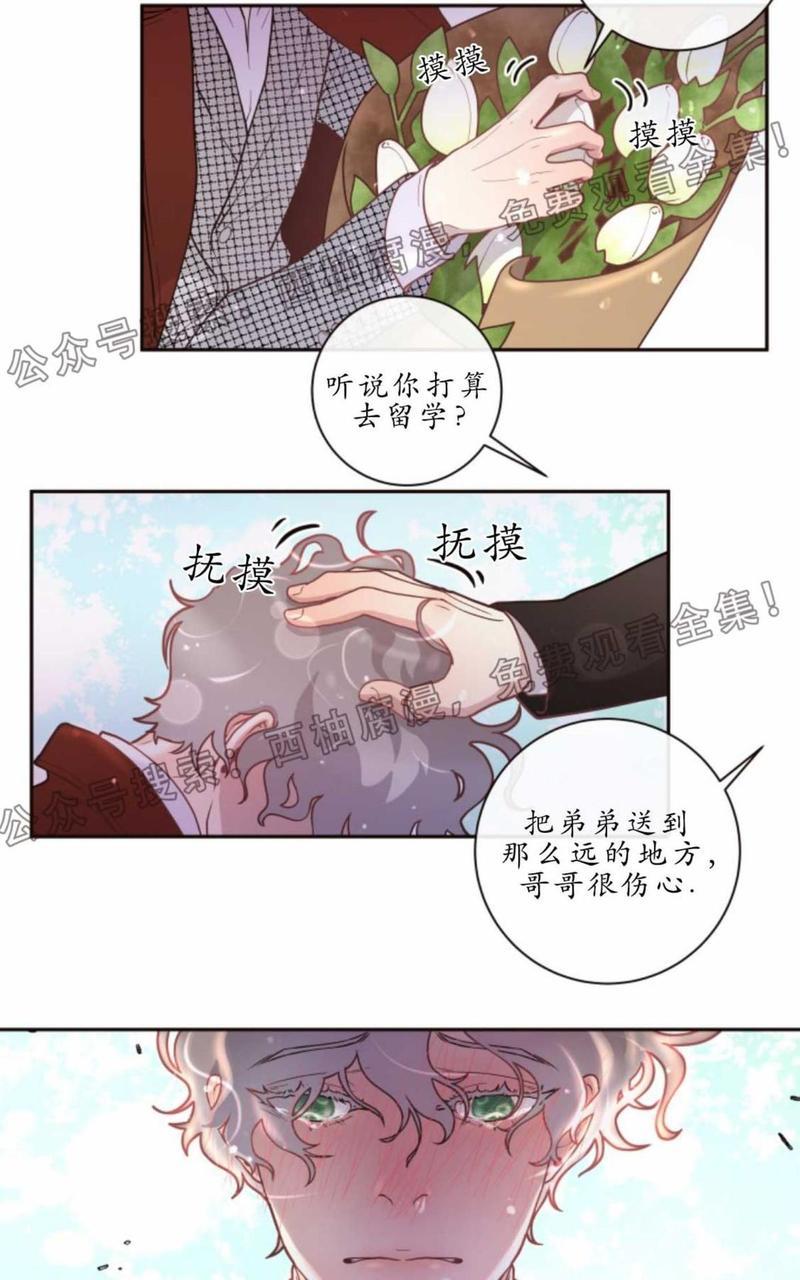 勾引alpha的方法[耽美]韩漫全集-第26话无删减无遮挡章节图片 