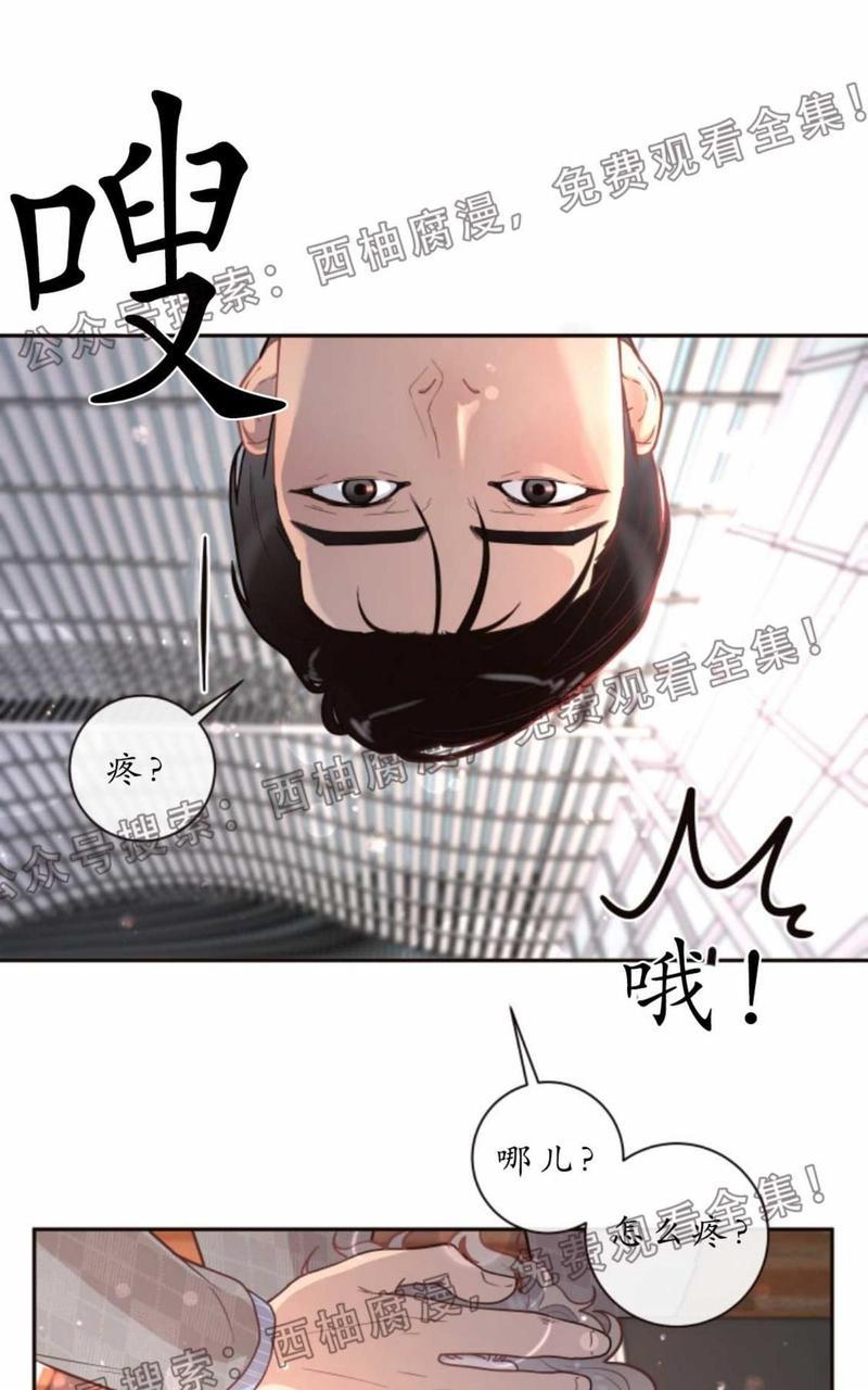 勾引alpha的方法[耽美]韩漫全集-第26话无删减无遮挡章节图片 