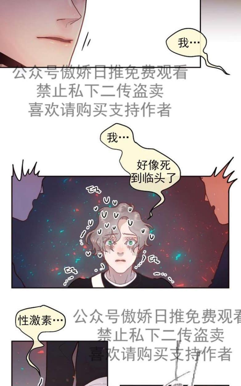 勾引alpha的方法[耽美]韩漫全集-第31话无删减无遮挡章节图片 