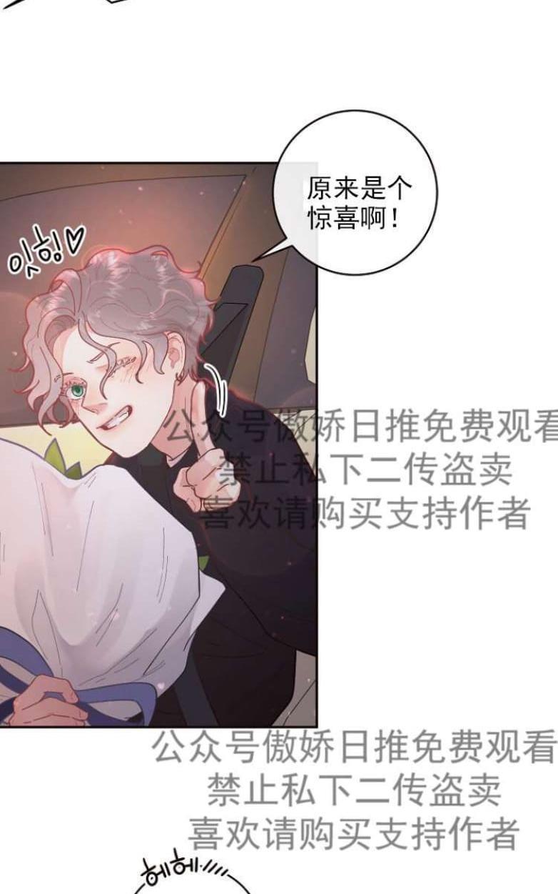 勾引alpha的方法[耽美]韩漫全集-第31话无删减无遮挡章节图片 