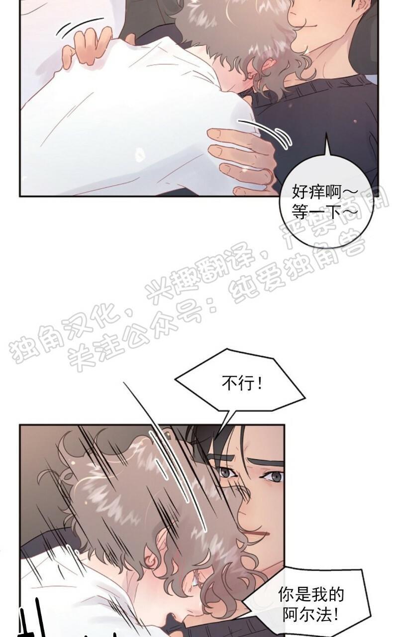 勾引alpha的方法[耽美]韩漫全集-第56话无删减无遮挡章节图片 