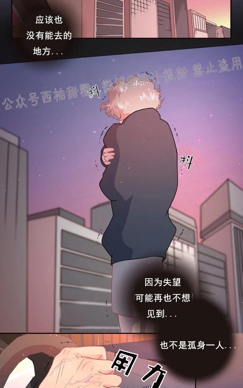 勾引alpha的方法[耽美]韩漫全集-第59话无删减无遮挡章节图片 