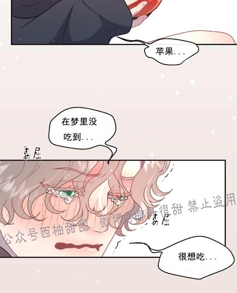 勾引alpha的方法[耽美]韩漫全集-第59话无删减无遮挡章节图片 