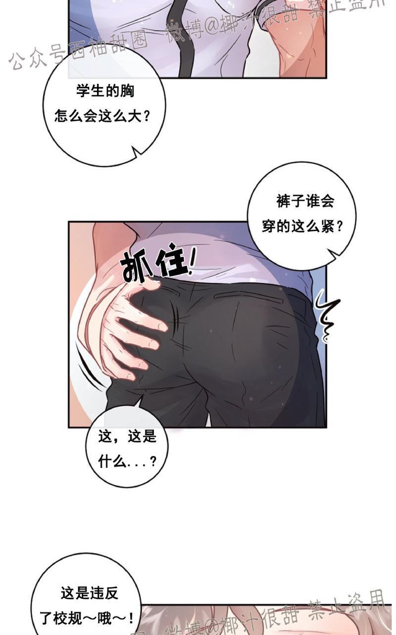 勾引alpha的方法[耽美]韩漫全集-第60话无删减无遮挡章节图片 