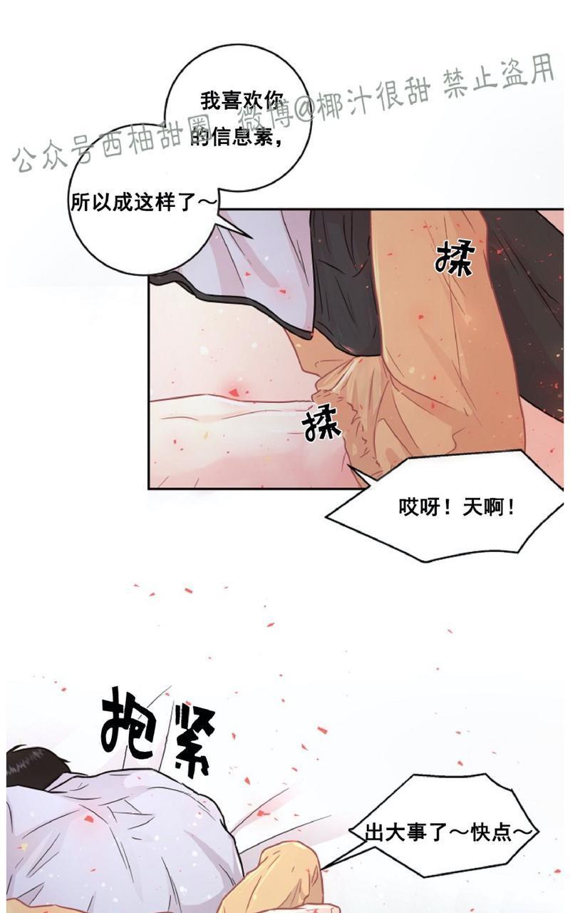 勾引alpha的方法[耽美]韩漫全集-第60话无删减无遮挡章节图片 