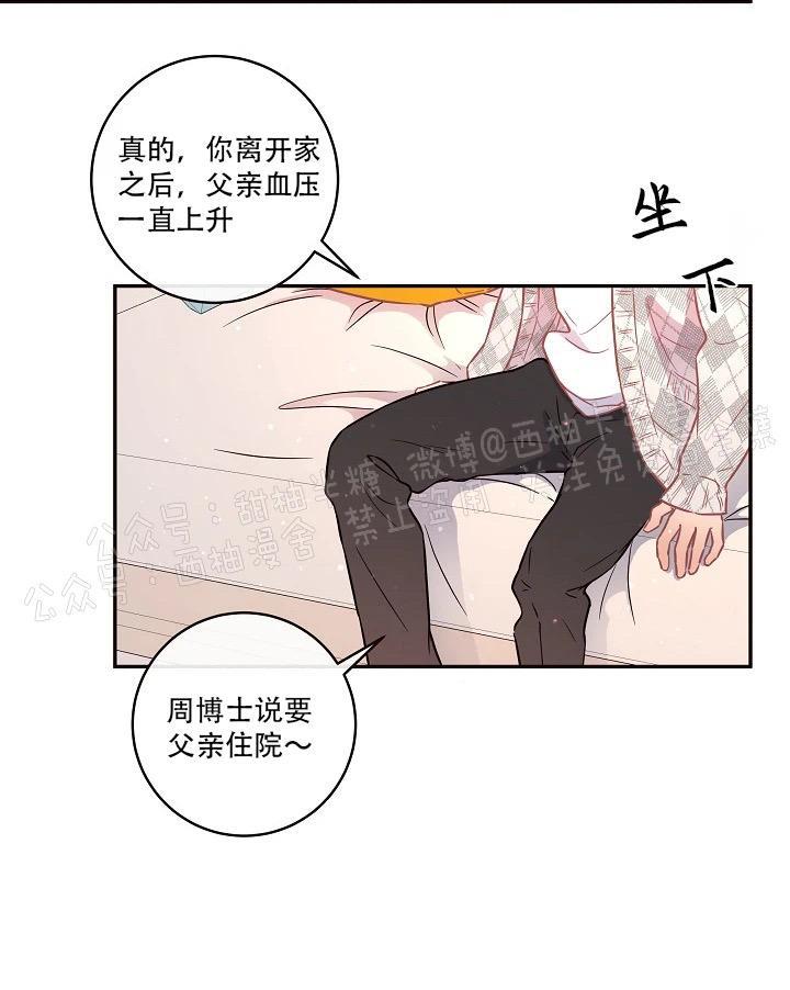 勾引alpha的方法[耽美]韩漫全集-第61话无删减无遮挡章节图片 