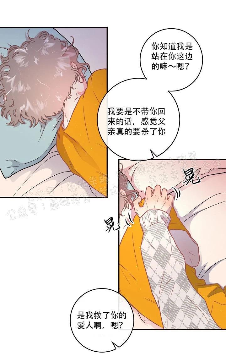勾引alpha的方法[耽美]韩漫全集-第61话无删减无遮挡章节图片 