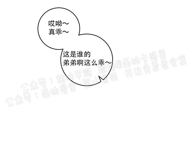 勾引alpha的方法[耽美]韩漫全集-第61话无删减无遮挡章节图片 