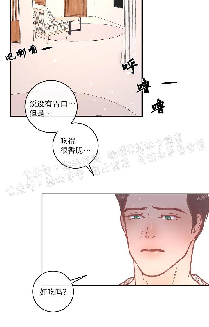 勾引alpha的方法[耽美]韩漫全集-第61话无删减无遮挡章节图片 