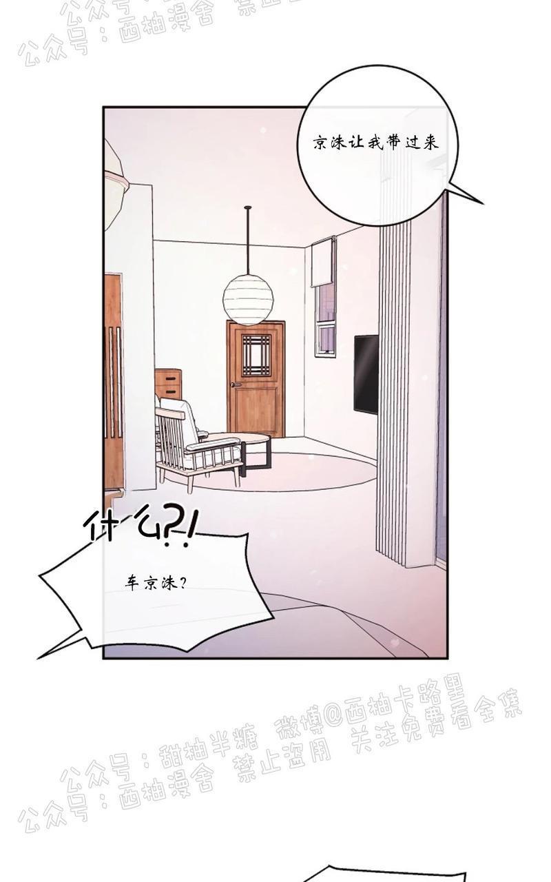 勾引alpha的方法[耽美]韩漫全集-第62话无删减无遮挡章节图片 