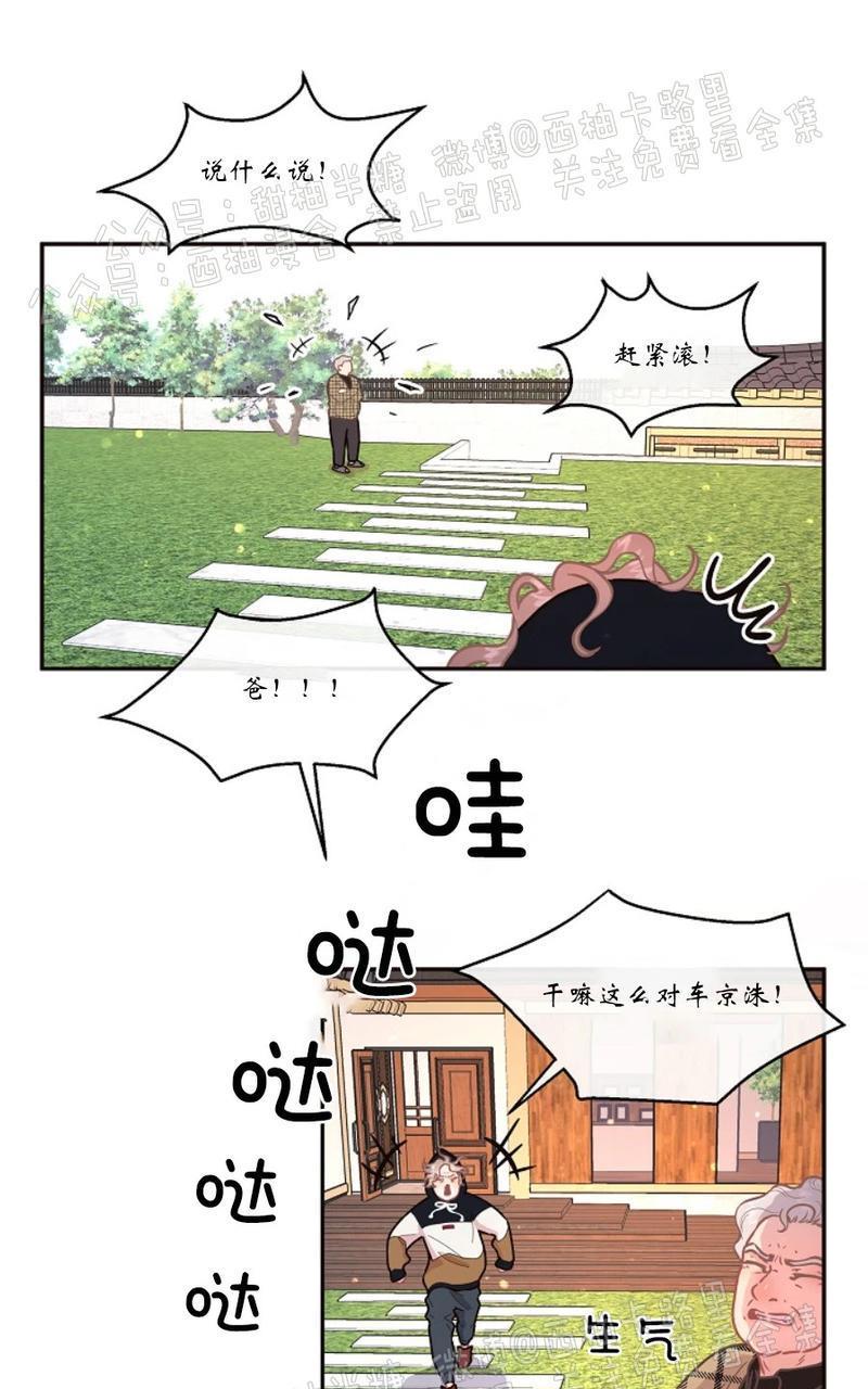 勾引alpha的方法[耽美]韩漫全集-第62话无删减无遮挡章节图片 