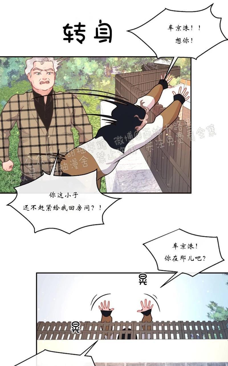 勾引alpha的方法[耽美]韩漫全集-第62话无删减无遮挡章节图片 