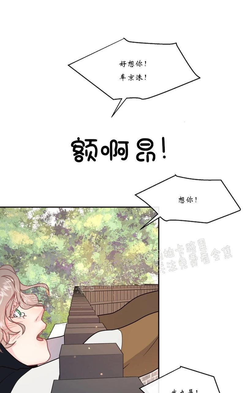 勾引alpha的方法[耽美]韩漫全集-第62话无删减无遮挡章节图片 