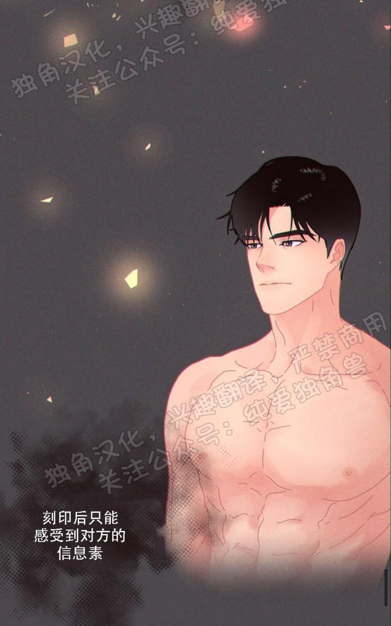 勾引alpha的方法[耽美]韩漫全集-第66话无删减无遮挡章节图片 