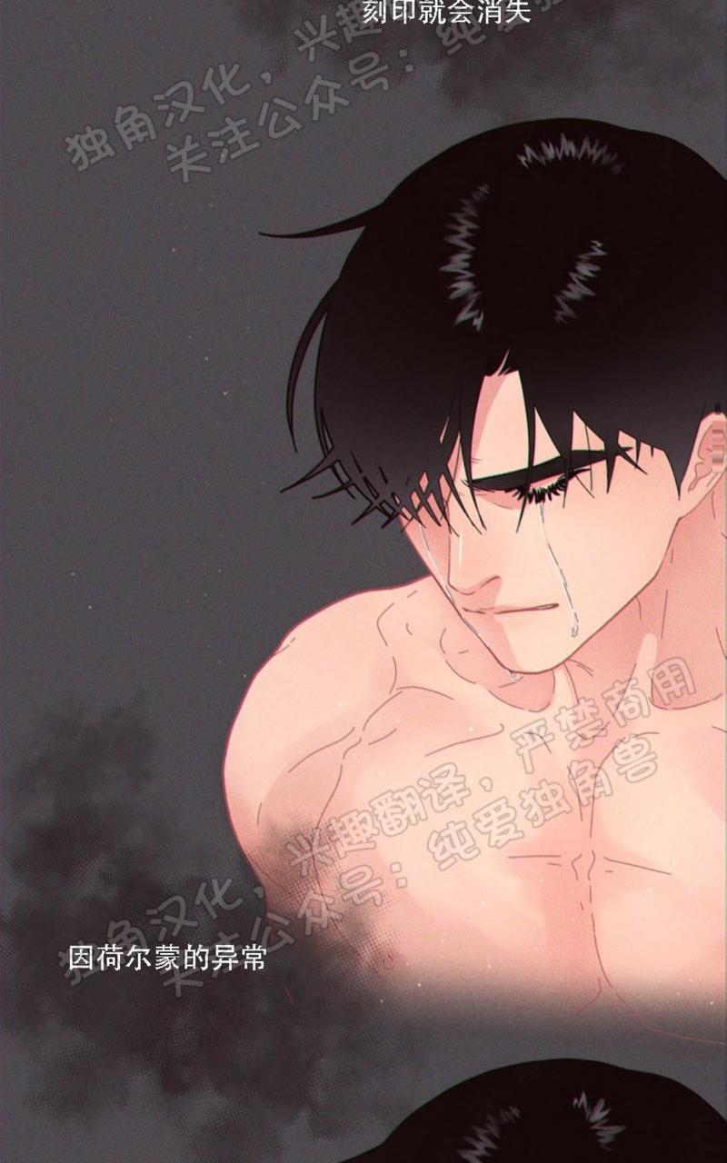 勾引alpha的方法[耽美]韩漫全集-第66话无删减无遮挡章节图片 