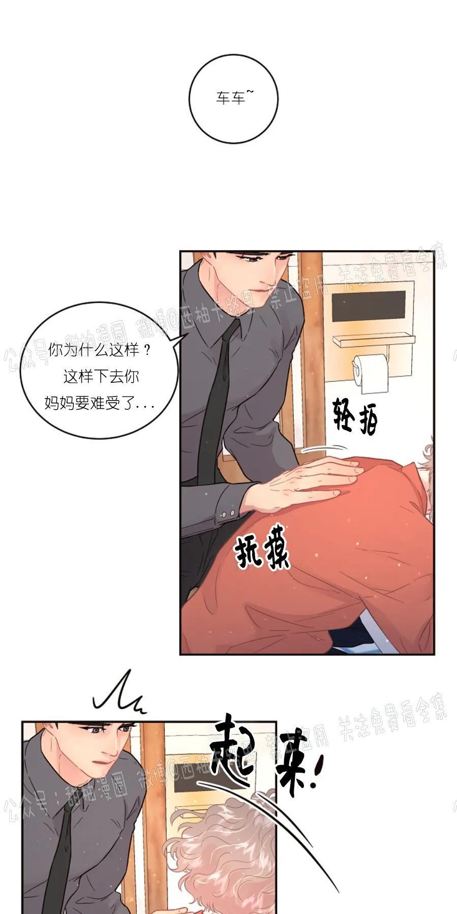 勾引alpha的方法[耽美]韩漫全集-第72话无删减无遮挡章节图片 
