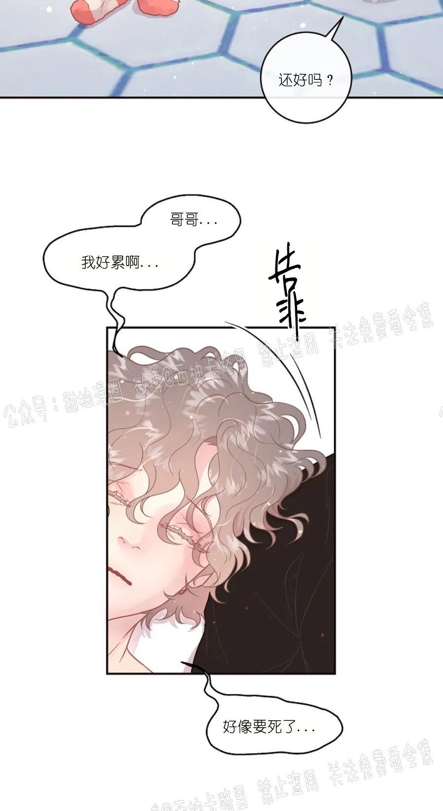 勾引alpha的方法[耽美]韩漫全集-第72话无删减无遮挡章节图片 