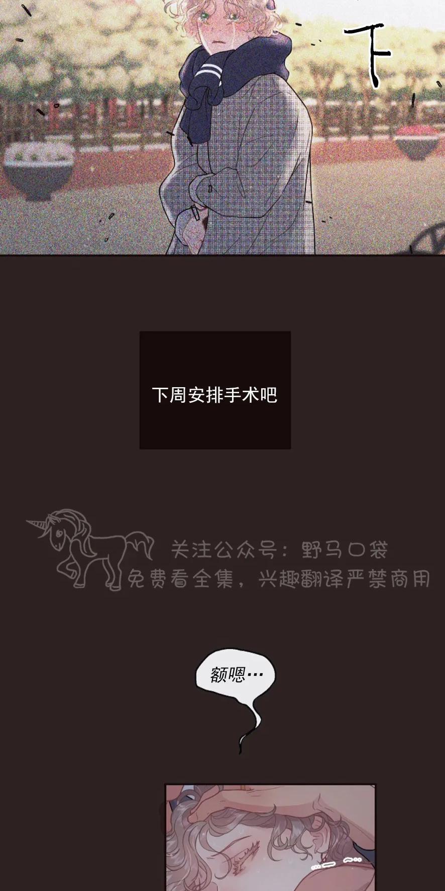 勾引alpha的方法[耽美]韩漫全集-第75话无删减无遮挡章节图片 