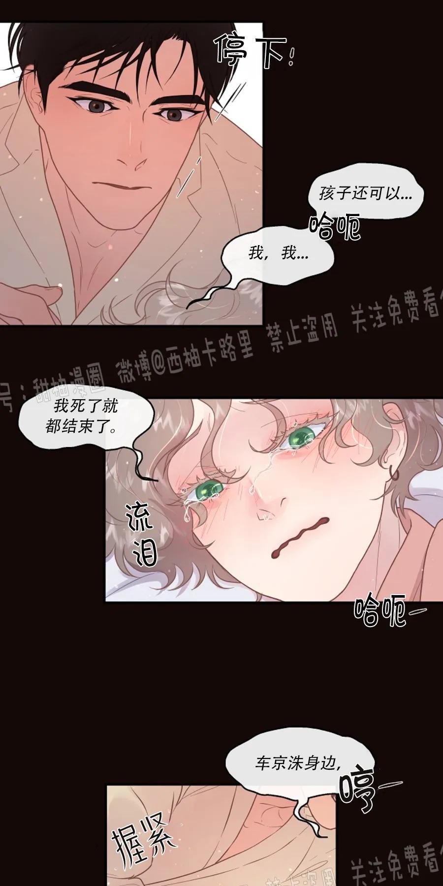 勾引alpha的方法[耽美]韩漫全集-第76话无删减无遮挡章节图片 