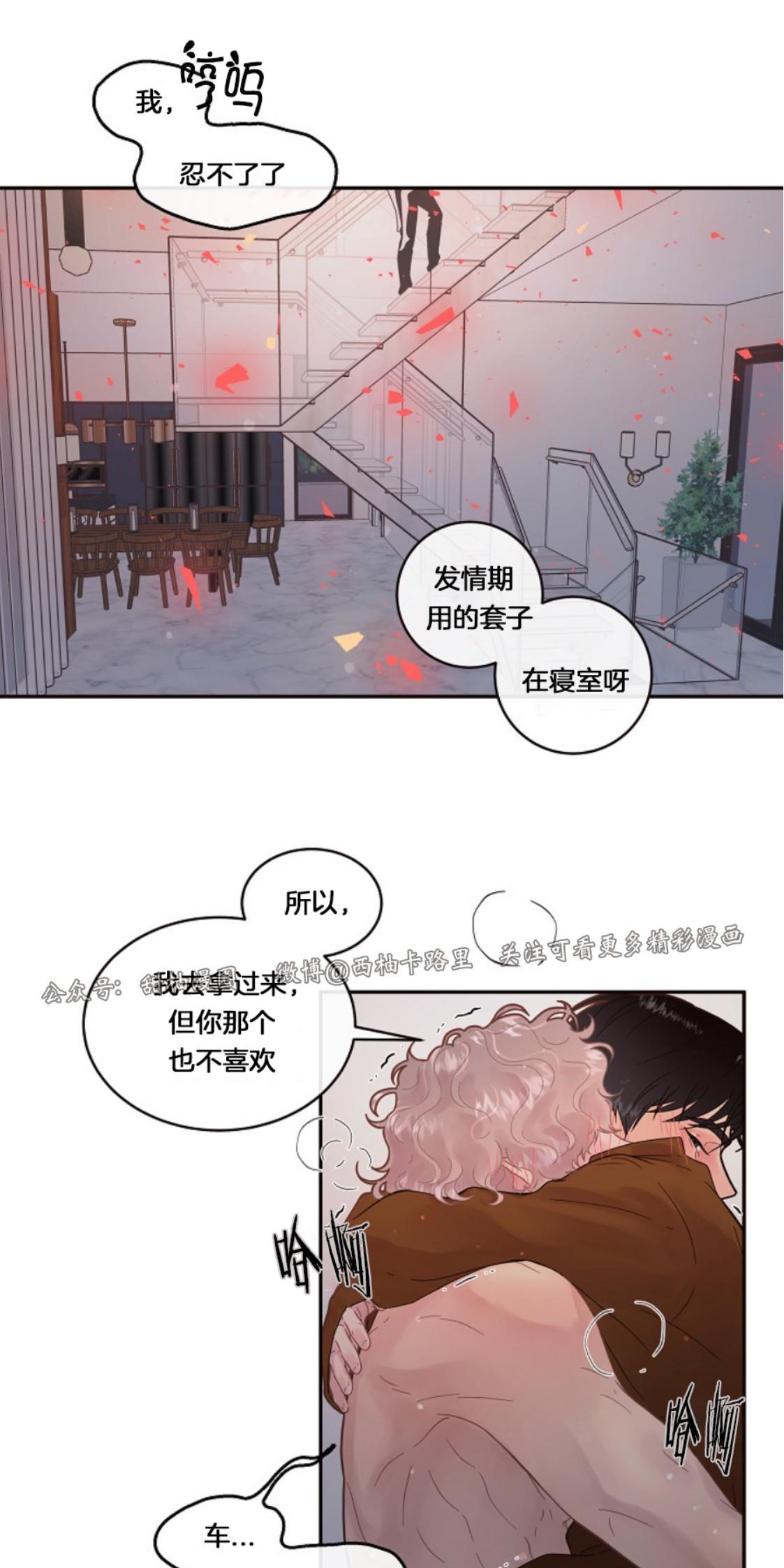 勾引alpha的方法[耽美]韩漫全集-第82话无删减无遮挡章节图片 
