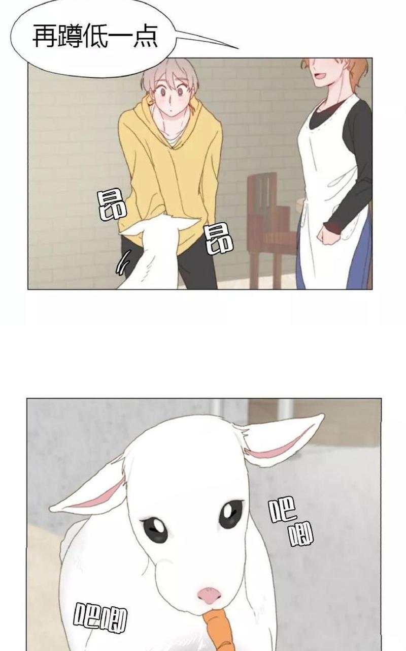 利己主义/重组兄弟[耽美]韩漫全集-第15话无删减无遮挡章节图片 