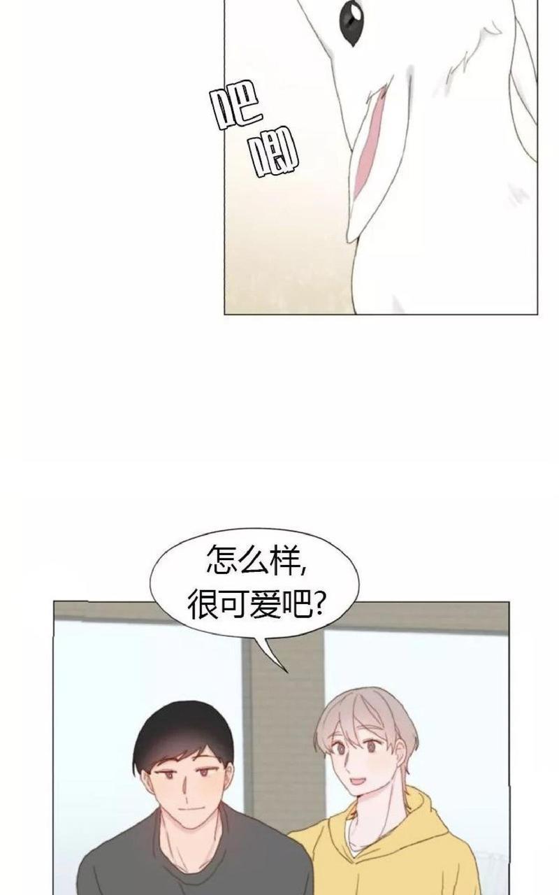 利己主义/重组兄弟[耽美]韩漫全集-第15话无删减无遮挡章节图片 