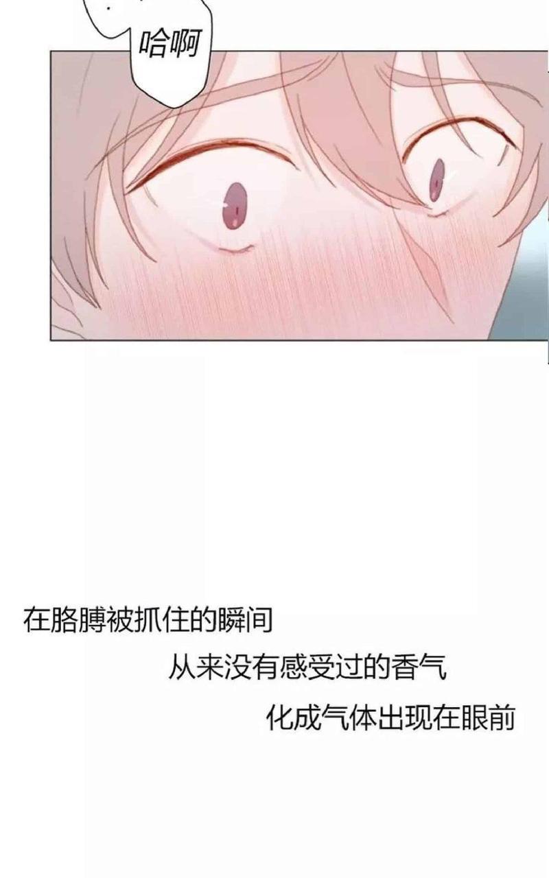 利己主义/重组兄弟[耽美]韩漫全集-第17话无删减无遮挡章节图片 