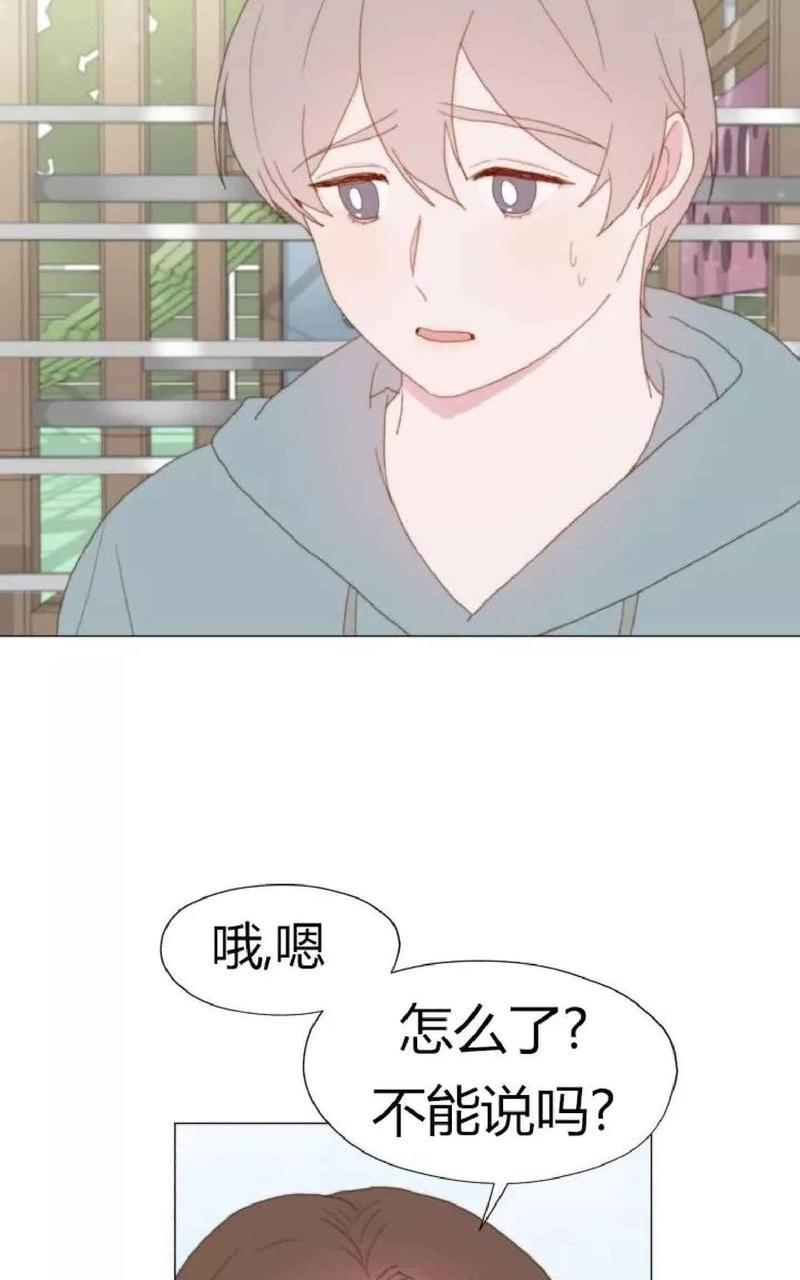 利己主义/重组兄弟[耽美]韩漫全集-第19话无删减无遮挡章节图片 