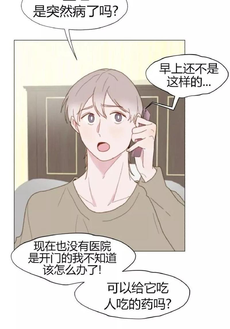 利己主义/重组兄弟[耽美]韩漫全集-第24话无删减无遮挡章节图片 