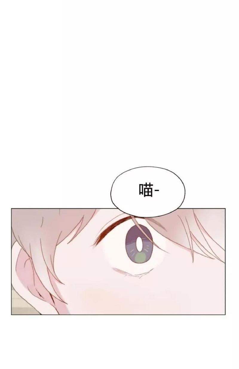 利己主义/重组兄弟[耽美]韩漫全集-第32话无删减无遮挡章节图片 