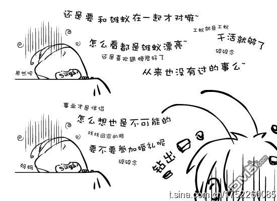 蚂蚁君~[耽美]韩漫全集-第2卷无删减无遮挡章节图片 
