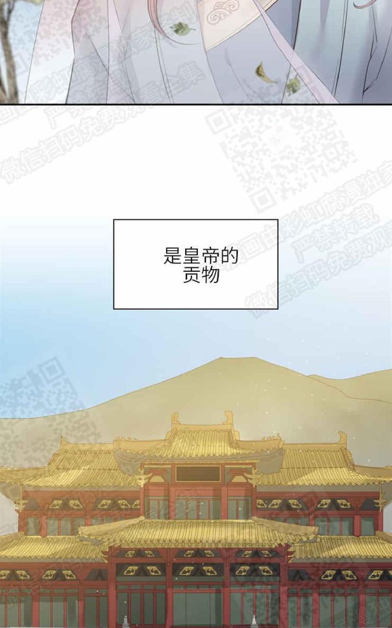贡物/皇妃驾临[耽美]韩漫全集-第1话无删减无遮挡章节图片 