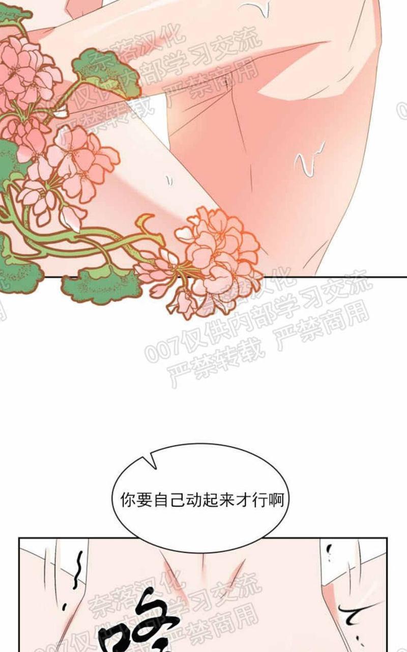 贡物/皇妃驾临[耽美]韩漫全集-第26话无删减无遮挡章节图片 