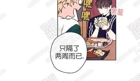 我的助手大人[耽美]韩漫全集-第35话无删减无遮挡章节图片 