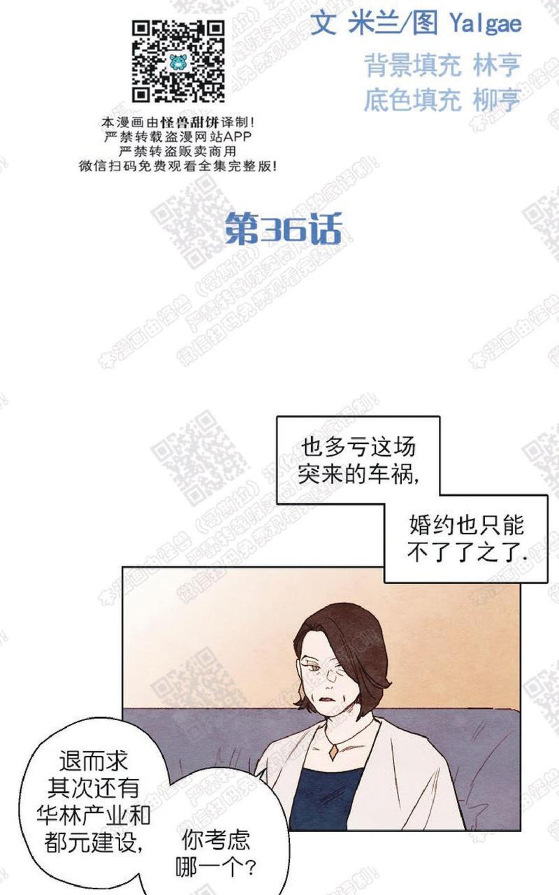 我的助手大人[耽美]韩漫全集-第36话无删减无遮挡章节图片 