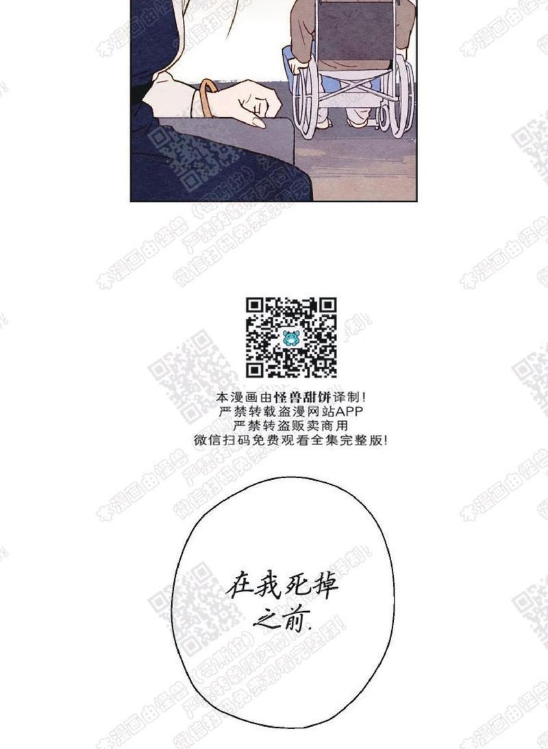 我的助手大人[耽美]韩漫全集-第36话无删减无遮挡章节图片 