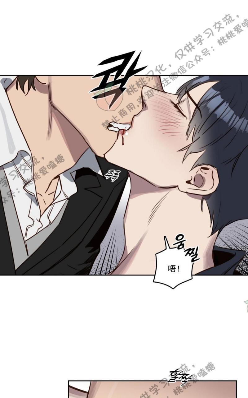 KissMeLiar[耽美]韩漫全集-第6话无删减无遮挡章节图片 