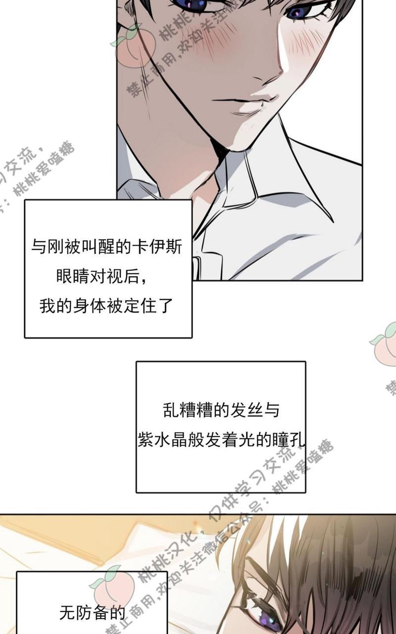 KissMeLiar[耽美]韩漫全集-第9话无删减无遮挡章节图片 